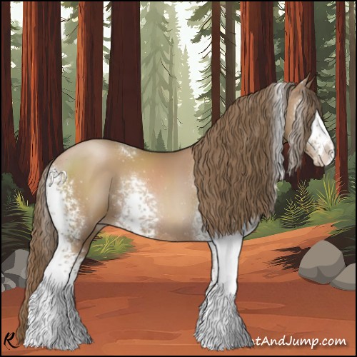 Horse Color:White Spotted Black Pearl