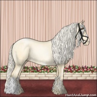Horse Color:Palomino Roan Pearl  and Palomino Roan Pearl 