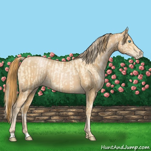 Horse Color:Palomino Roan Pearl  and Red Roan Pearl 