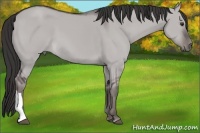 Horse Color:Platinum Liver Red Dun 