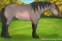 Horse Color:Platinum Bay Roan Sabino 