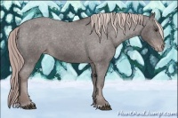 Horse Color:Platinum Liver Chestnut Appaloosa 