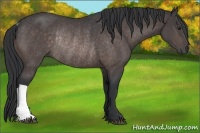 Horse Color:Platinum Brown Rabicano 