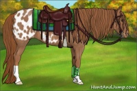 Horse Color:Red Roan Appaloosa 