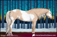 Horse Color:Platinum Palomino Roan Pearl Dun  and Red Roan Mushroom 