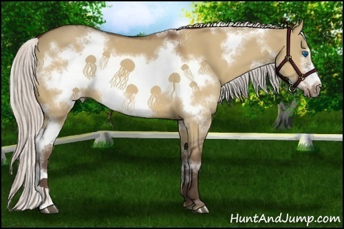 Horse Color:White Spotted Silver Bay Dun Frame
