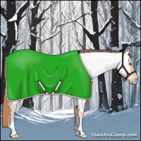 Horse Color:Gold Champagne Ice Roan Near Fewspot
