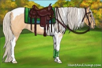 Horse Color:Silver Buckskin Roan Tobiano
