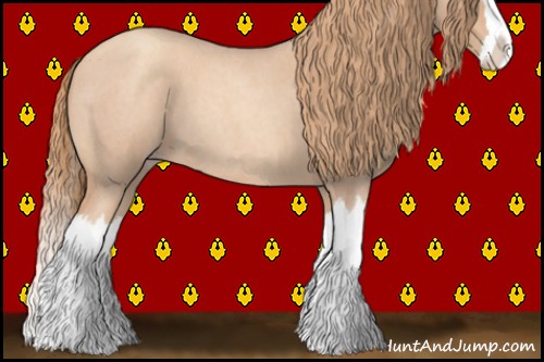 Horse Color:Gold Champagne Roan Splash 