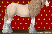 Horse Color:Gold Champagne Roan Splash 