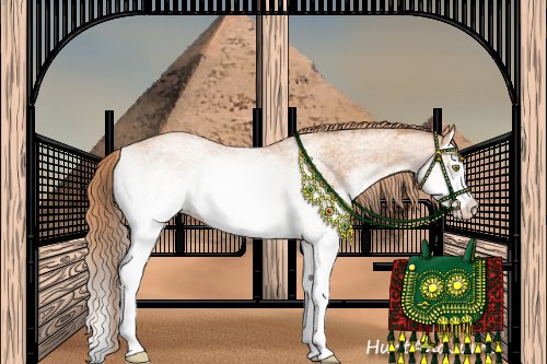 Horse Color:White Spotted Gold Champagne Splash 