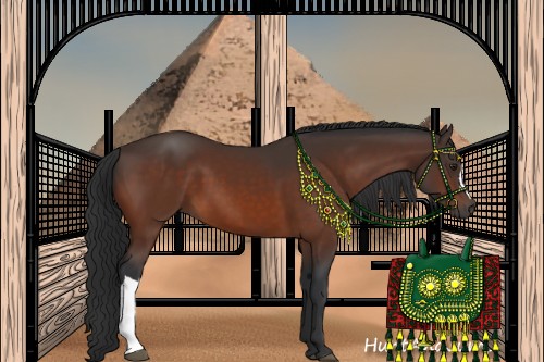 Horse Color:Brown 