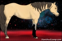 Horse Color:Buckskin Dun