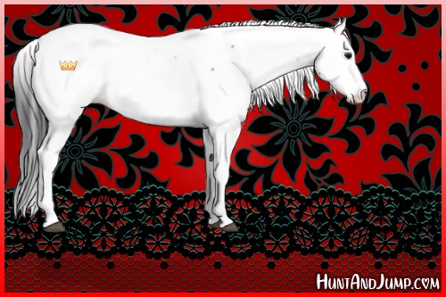 Horse Color:Bay Fewspot 