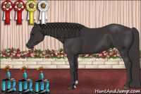 Horse Color:Smoky Black