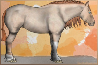 Horse Color:Gray Perlino Roan Tobiano Rabicano