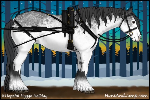 Horse Color:White Spotted Black Rabicano