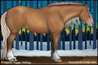 Horse Color:Gray White Spotted Silver Sable Champagne 