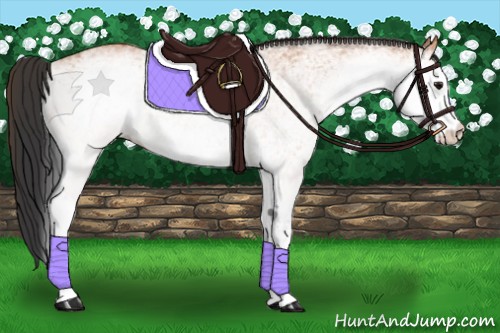 Horse Color:White Spotted Bay
