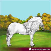 Horse Color:Chocolate Buckskin Dun Sabino 