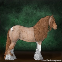Horse Color:Red Roan Tobiano 