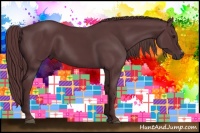 Horse Color:Chocolate Black Chinchilla 