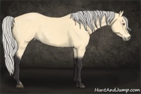 Horse Color:Silver Buckskin Chinchilla