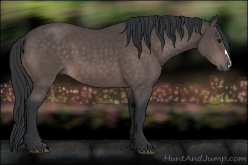 Horse Color:Platinum Bay