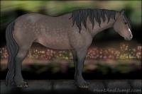 Horse Color:Platinum Bay