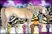 Horse Color:Red Dun Onyx