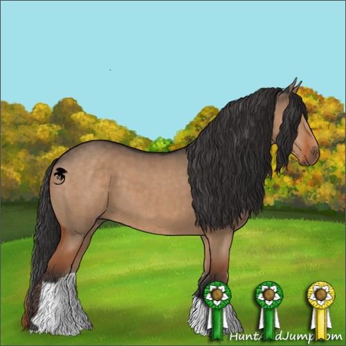 Horse Color:Liver Red Dun Brindle 