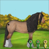 Horse Color:Liver Red Dun Brindle 