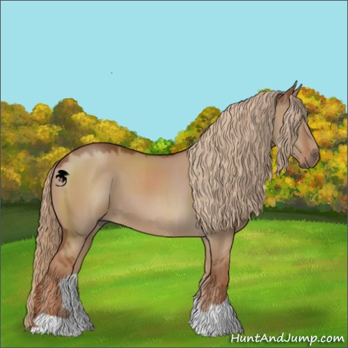 Horse Color:Red Dun 