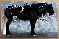 Horse Color:White Spotted Bay Dun Splash Appaloosa 