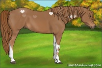 Horse Color:Chestnut Tobiano 