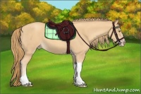 Horse Color:Gold Champagne