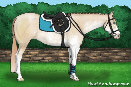 Horse Color:Smoky Black Pearl Sabino Rabicano 