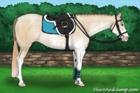 Horse Color:Smoky Black Pearl Sabino Rabicano
