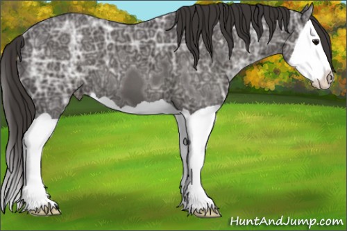 Horse Color:Smoky Black Ice Splash 