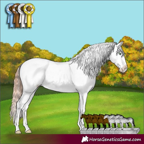 Horse Color:White Spotted Gold Champagne Dun Appaloosa Rabicano 