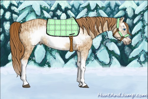 Horse Color:Chestnut Splash Frame  and Red Dun Splash Frame 