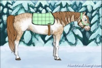 Horse Color:Chestnut Splash Frame  and Red Dun Splash Frame 