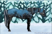 Horse Color:ERROR: UNKNOWN ANOMALY and ERROR: UNKNOWN ANOMALY