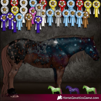 Horse Color:ERROR: UNKNOWN ANOMALY