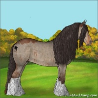 Horse Color:Liver Red Dun Brindle 