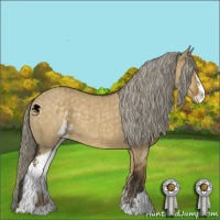 Horse Color:Chocolate Palomino Dun Sabino Brindle 