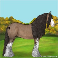Horse Color:Liver Red Dun Sabino Brindle 