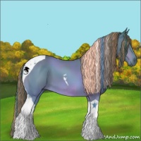 Horse Color:Painted Watercolor Bay Tobiano 