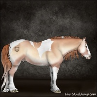 Horse Color:Gold Champagne Onyx Splash Tobiano