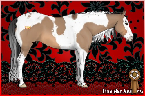 Horse Color:Bay Dun Sabino Splash Tobiano
